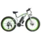 White green - 2000W