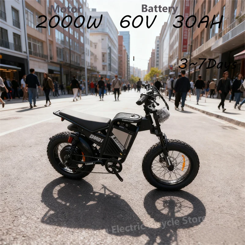 BLJ-DM01 Urban Adult Electric Bike: 2000W High-Power Motor, 60V 30Ah Removable Battery, 20×4