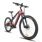 500W 48V 13Ah-Red