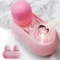 Model B Pink