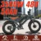 48V50Ah(3500W)
